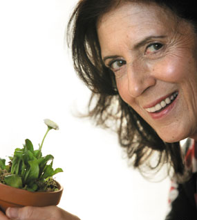 Anita Roddick, courage, business vert, respect